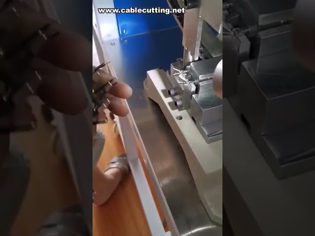 Halbautomatische 2-polige Stecker-Crimp-Maschine für EU-Stecker – Effiziente Kabelverarbeitung