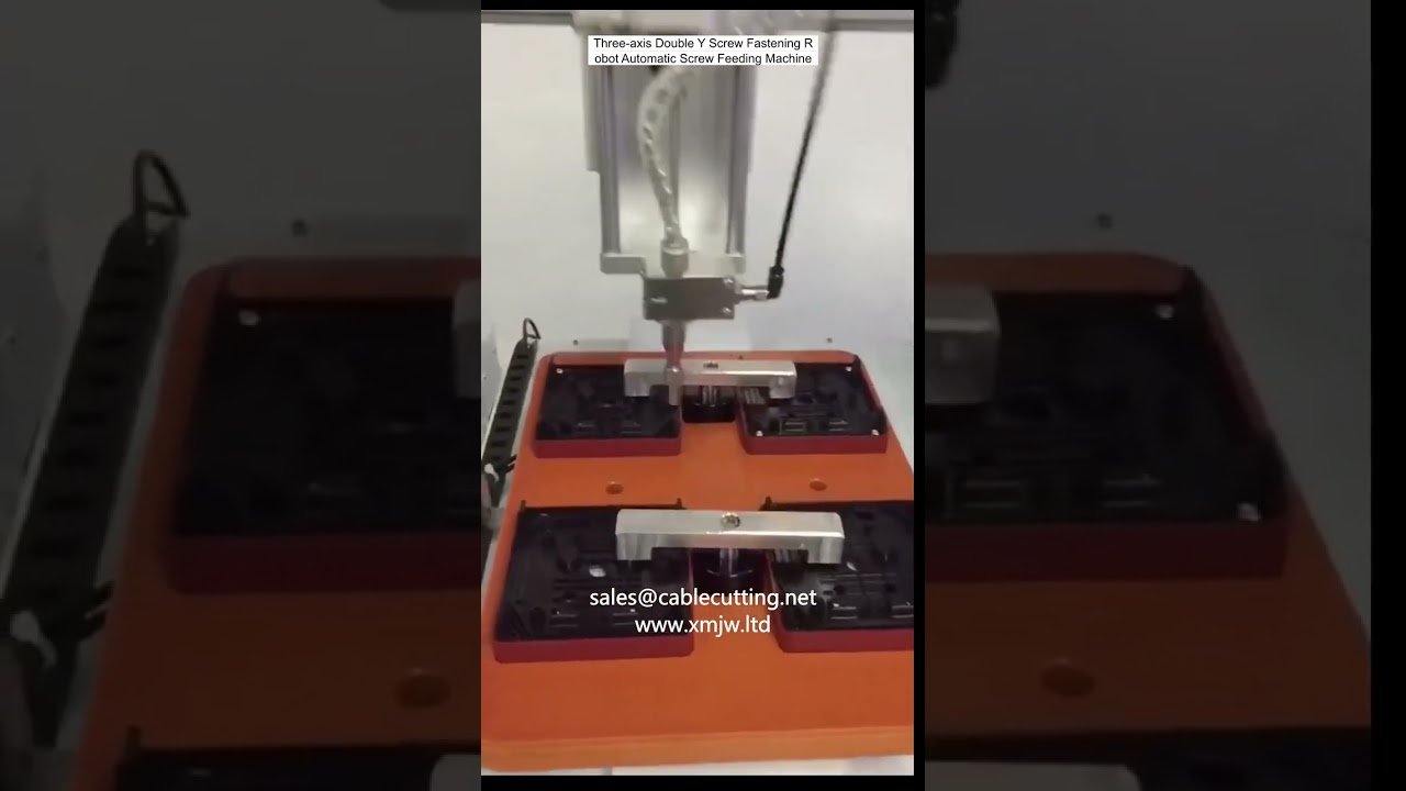 3-Achsen Doppel-Y-Schraubroboter mit automatischer Schraubenzuführung