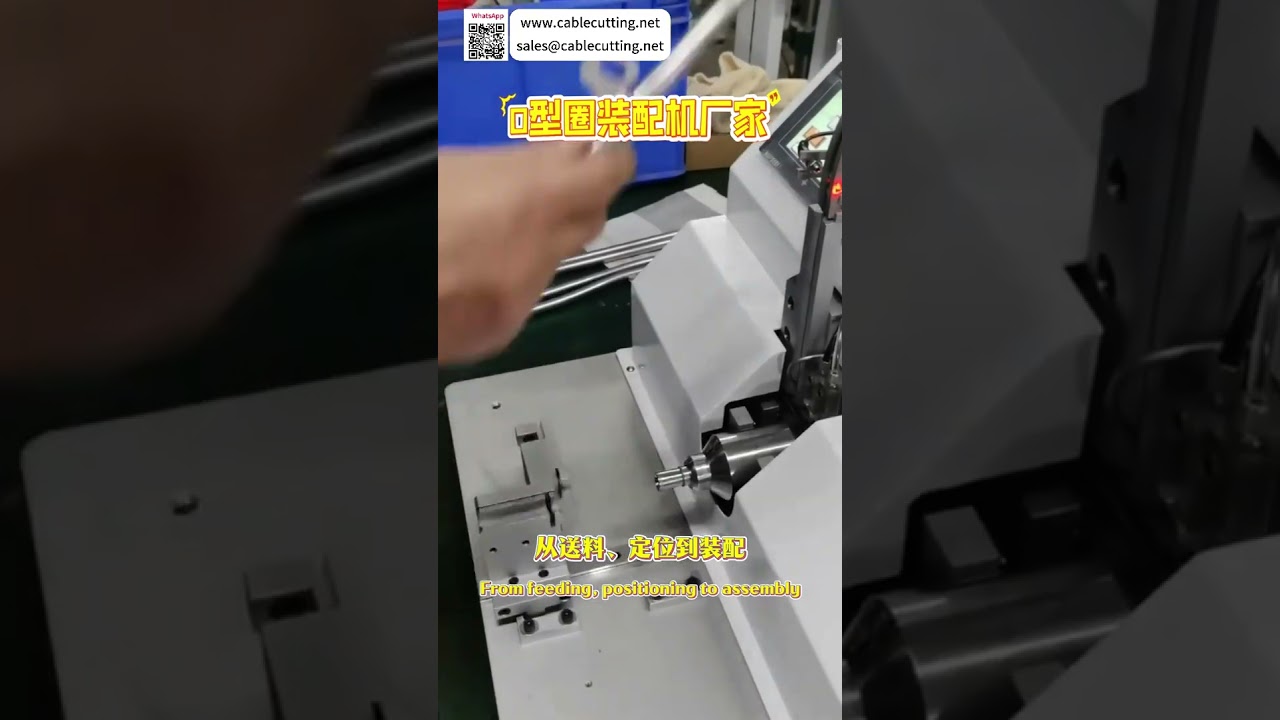 Hocheffiziente automatische O-Ring Montagemaschine – Sonderanfertigung für Dichtringe