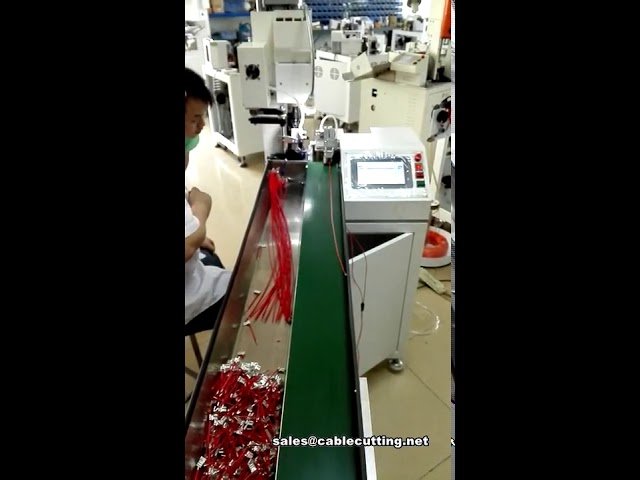 Automatische Flaggen-Quetschmaschine für Klemmen mit Förderband – Effizientes Crimpen