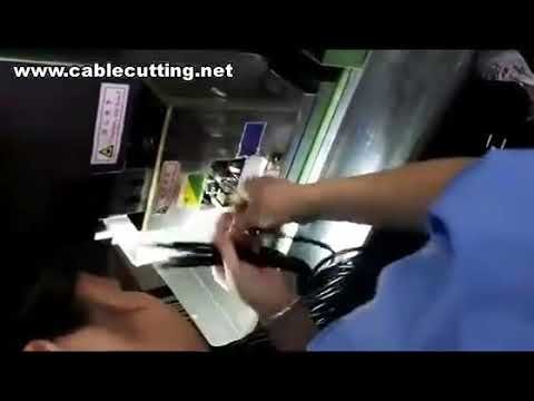 Crimp- und Terminal-Einfügemaschine für Power Plug – Hochpräzise Steckeranschlussmaschine