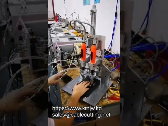 Z-Achse Auf-Ab-Bewegung OEM Automatische Zuführung Schraubendreher – Automatische Schraubverschraubungsmaschine