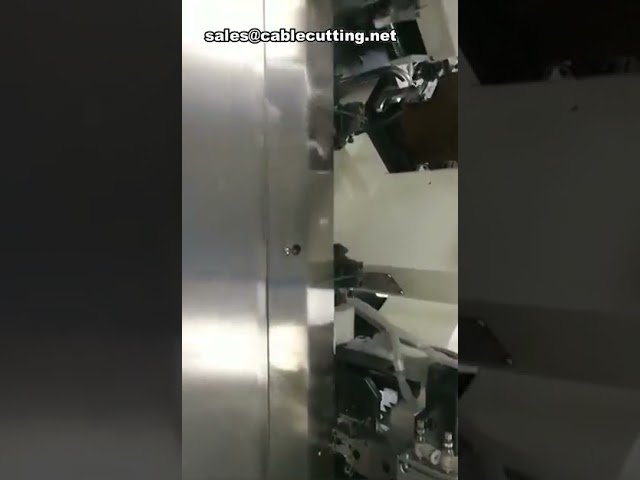 Automatische Abisolier- und Crimp-Kombimaschine für zwei Drähte mit drei Enden