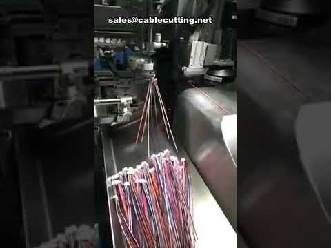 Automatische Einsetzmaschine für Steckverbinder-Kunststoffgehäuse | Hochgeschwindigkeits-Montage