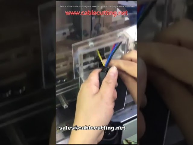 Halbautomatische Abisolier-, Dichtungseinführ- und Crimp-Maschine WPM-5030