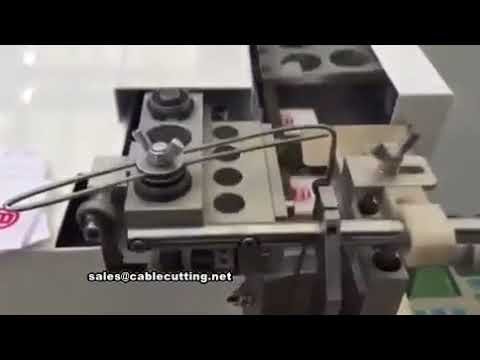 Automatische Etiketten-Schneid- und Faltmaschine