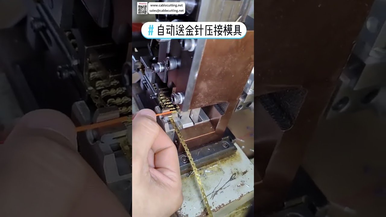 Automatische RJ-Stecker-Verarbeitungsmaschine mit Goldstift-Zuführung | Kabelbaum-Herstellung