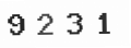 Verification Code Image